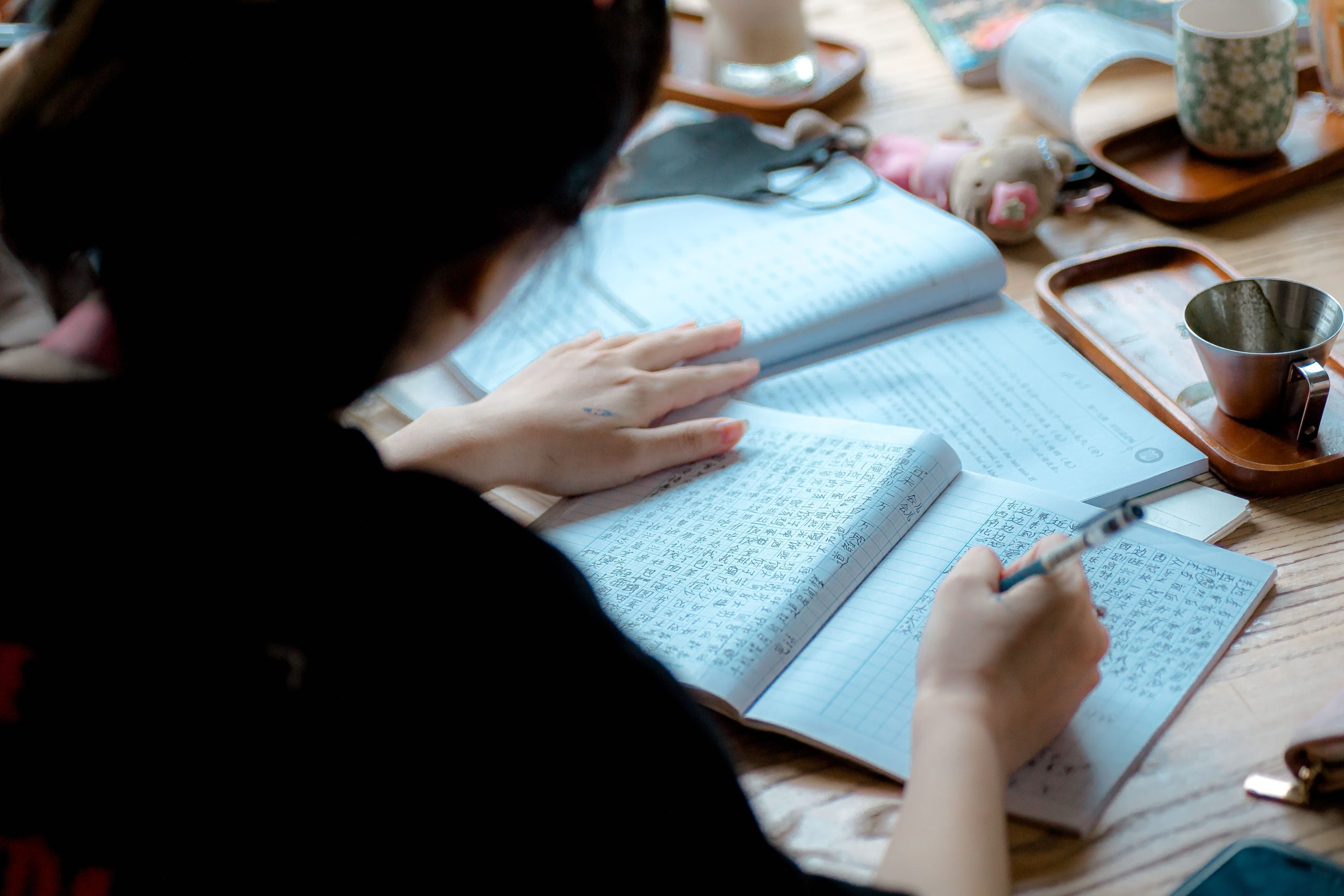 cours particuliers